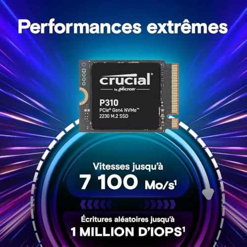 Crucial P310 2 To 2230 - vue 4