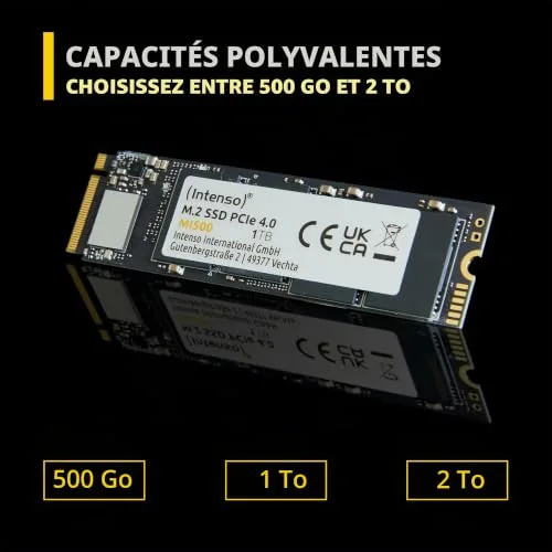 Intenso MI500 SSD 1 To PCIe 4.0 - vue 3