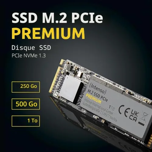 Intenso PREMIUM SSD 250 Go M.2 NVMe - vue 2