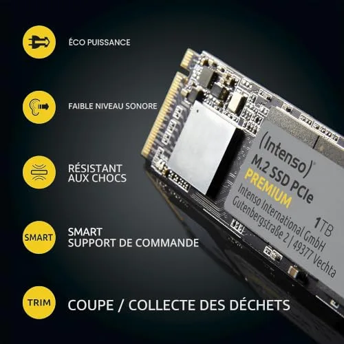 Intenso PREMIUM SSD 250 Go M.2 NVMe - vue 4