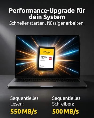 Intenso Top Performance SSD 256 Go 2.5" SATA - vue 2