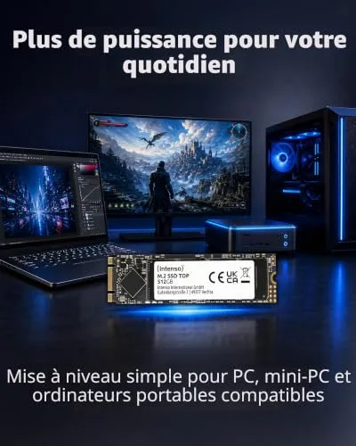 Intenso TOP SSD 512 Go M.2 SATA - vue 5
