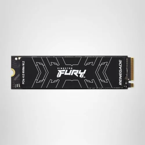 Kingston FURY Renegade 1000 Go - vue 7