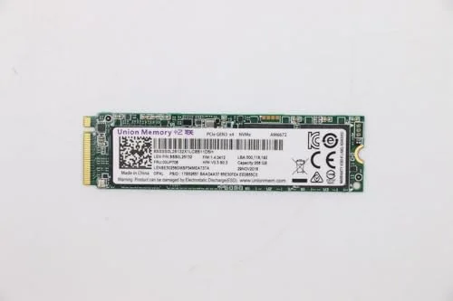 Lenovo SSD 256 Go Chiffré M.2