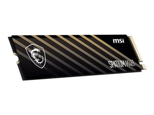 SSD MSI SPATIUM M461 1 To