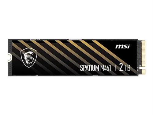 SSD MSI SPATIUM M461 2 To