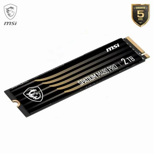 MSI SPATIUM M480 PRO 2 To SSD - vue 5