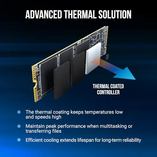PNY CS2230 500 Go SSD M.2 NVMe - vue 5