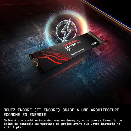 SanDisk Optimus GX 7100 500 Go - vue 4