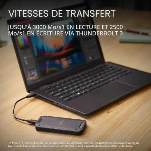 SanDisk Professional PRO-G40 1 To - vue 2