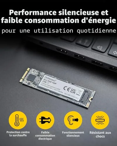 SSD Intenso Top Performance 1 TB M.2 SATA - vue 4