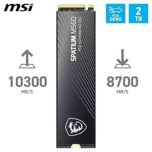 SSD MSI SPATIUM M560 2 To PCIe 5.0 - vue 2