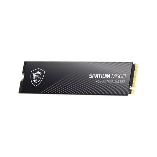 SSD MSI SPATIUM M560 2 To PCIe 5.0