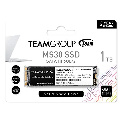 Team Group MS30 1 To M.2 SATA - vue 5