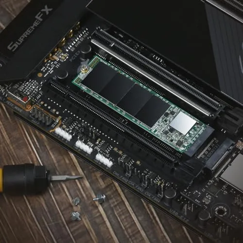 Transcend 115S SSD 250 Go M.2 NVMe - vue 9