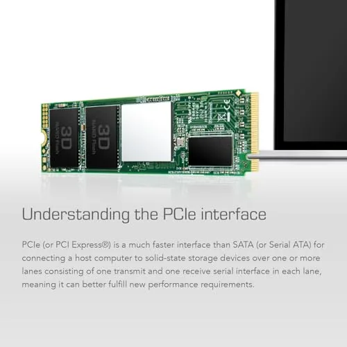 Transcend MTE220S SSD 2 To - vue 5