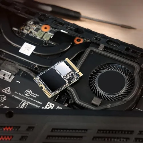 Transcend MTE310S 1 To - vue 8
