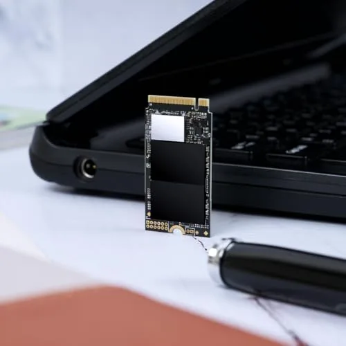 Transcend MTE410S 1 To SSD M.2 2242 PCIe 4.0 - vue 8