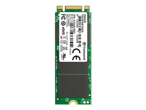 SSD Transcend MTS600 256 Go
